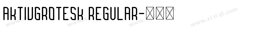 aktivgrotesk regular字体转换